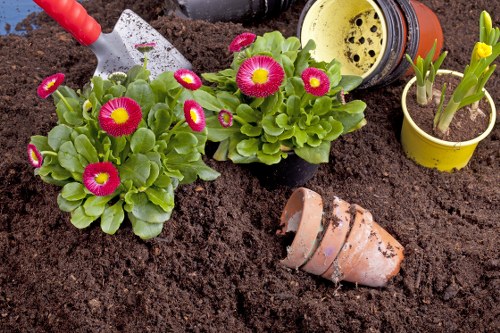 The image shows a section of a garden bed with dark, freshly turned soil, featuring two vibrant flowering plants with bright pink and yellow blooms and green foliage. To the right, there is a yellow plastic pot with budding plant shoots, and behind it, a terracotta pot lying on its side with some soil around it. In the background, a small garden trowel with a red handle is partially visible, indicating ongoing planting activity. There are also two small empty pots, one yellow and the other clay, suggesting recent or future planting. The scene appears to be set in a well-maintained outdoor garden area, with a focus on flower planting and soil preparation, consistent with gardening services provided by Landscapers Palmers Green in the postcode area serving Palmers Green, London. The weather looks clear and bright, offering good natural lighting for gardening tasks.