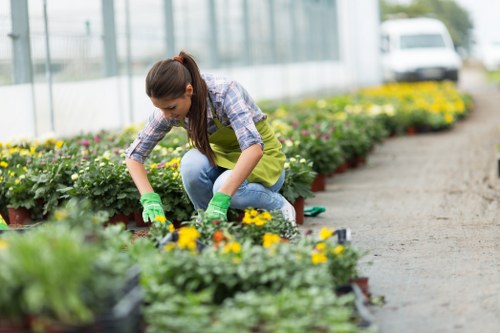 Professional Garden Clearance in Palmers Green