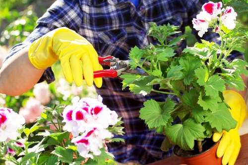 Landscaper in Palmers Green carrying out insured garden clearance work