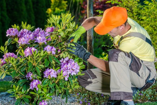 Healthy trimmed trees enhancing a Palmers Green property