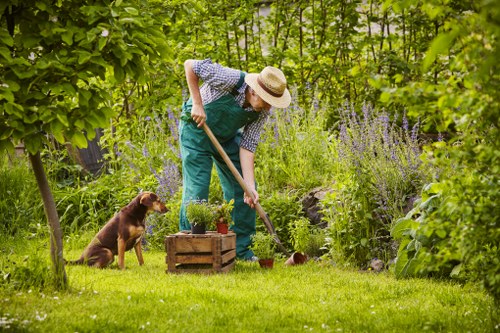 Seasonal lawn care practices