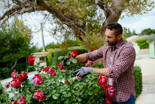 Secure online payment illustration for Landscapers Palmers Green