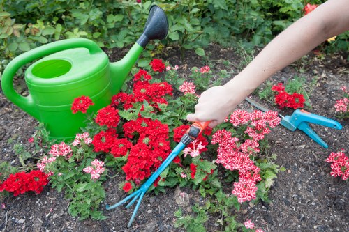Detailed garden design layout