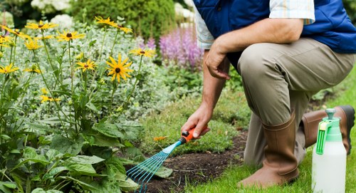 A person kneeling in a well-maintained garden, wearing brown gardening boots, khaki trousers, and a navy vest over a light shirt, tending to a flower bed with a small blue hand rake. The garden features a neatly edged lawn with lush, green grass in the foreground, bordered by a vibrant array of flowering plants, including yellow and purple blooms. In the background, there are tall hedges and shrubs providing privacy and structure to the outdoor space. A white spray bottle is placed on the grass nearby, indicating ongoing gardening activity. The scene is captured on a bright, possibly sunny day, emphasizing the natural tones of the plants and soil, and reflecting typical gardening tasks undertaken by landscapers in Palmers Green, ideal for outdoor garden care and landscaping services.
