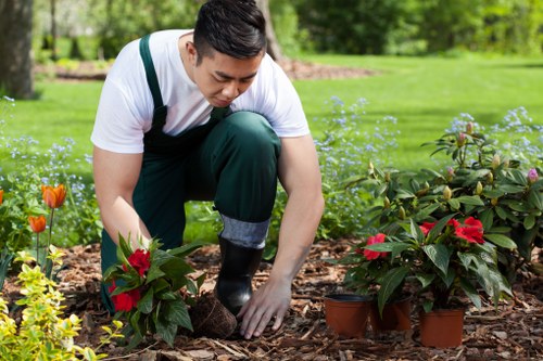 Lush garden plants thriving in Palmers Green climate