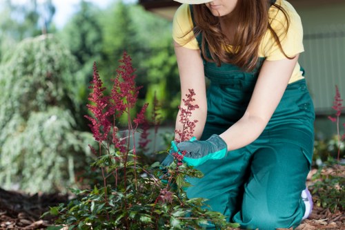 A gardener wearing a yellow T-shirt and teal gardening overalls is kneeling in a landscaped garden, tending to a lush flower bed with pink flowering plants. The garden features a well-maintained grass lawn in the foreground, bordered by dark, moist soil beds planted with a variety of shrubs and flowering plants. In the background, there are trees and a garden shed, indicating a private outdoor space typical of residential gardens in the Palmers Green area. The environment appears bright with natural daylight, suggesting a clear weather day suitable for gardening activities. The gardener is wearing gloves and appears to be carefully pruning or handling the plants, reflecting professional gardening practices offered by companies like Landscapers Palmers Green. Overall, the scene highlights a tidy, thoughtfully designed garden space with vibrant plant life, well-defined borders, and a healthy lawn, demonstrating outdoor maintenance and landscaping services tailored to residential properties in North London.