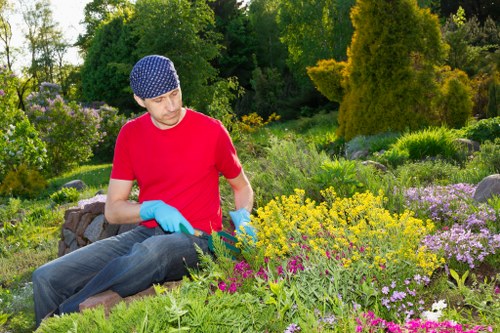 Eco-Friendly Garden Clearance Solutions