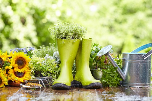 Healthy, well-shaped hedges enhancing garden aesthetics