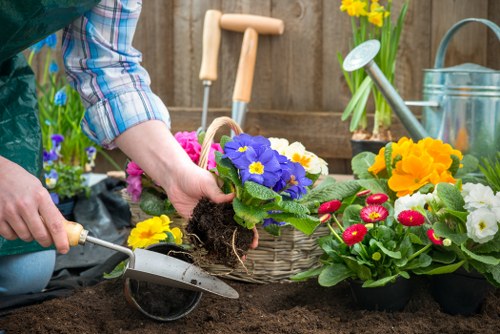 In a residential garden setting, a gardener's hands are visible planting a purple primula flower into dark, loose soil within a landscaped area. Surrounding the planting area are various potted flowers with bright yellow, red, pink, and white blooms, arranged on the ground and on a garden table. The garden features a wooden fence in the background, with gardening tools including a watering can, a trowel, and a small hand rake, as well as a wooden garden border that separates the planting bed from the lawn. The lawn is lush, green, and well-maintained, with evenly cut grass occupying the foreground. A yellow daffodil is visible in a flowerpot on the table, indicating springtime. The scene appears to be sunny and calm, ideal for gardening activities, reflecting professional outdoor landscape and garden maintenance practices typical in the Palmers Green area, with subtle local context supporting gardening and landscaping services offered by Landscapers Palmers Green.