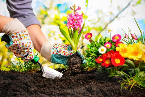 Experienced Garden Clearance Team