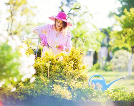 Professional landscapers at work in a garden