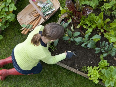 Diverse plant selection for Palmers Green gardens