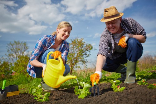 A man and woman are working together in a backyard garden with a clear blue sky and scattered clouds overhead, engaging in gardening activities. The woman, with blonde hair tied back, is crouched down, holding a yellow watering can and watering young green plants that are neatly arranged in a raised garden bed with dark, moist soil. The man, wearing a straw hat, plaid shirt, and orange gardening gloves, is also crouched and appears to be tending to the same plants, possibly planting or inspecting them. The garden area features a well-maintained lawn with vibrant green grass surrounding the planting beds. In the background, there are trees and shrubbery, revealing a suburban or local community setting, with hints of nearby greenery typical of Palmers Green or North London. The scene takes place on a bright, sunny day, contributing to the natural light illuminating the garden, emphasizing an environment suitable for outdoor home gardening and landscaping activities carried out by experienced landscape gardeners or lawn care professionals from Landscapers Palmers Green, specializing in gardening services within the local postcode area.