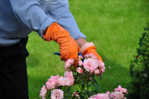 A person wearing a grey long-sleeve top and orange gardening gloves is tending to pink flowering roses in a well-maintained garden. The roses are in full bloom with large, soft pink petals, situated in a landscaped outdoor space with a lush, green lawn in the background. To the right, a neatly trimmed hedge or shrub adds structure to the garden, and the overall environment appears bright and slightly overcast, suggesting mild weather conditions. The scene highlights the detailed care involved in garden maintenance, with the presence of flowering plants and healthy grass indicating ongoing gardening and landscaping work typical for properties in Palmers Green. This image reflects the gardening services offered by Landscapers Palmers Green, emphasizing attention to detail in plant care and outdoor space upkeep.