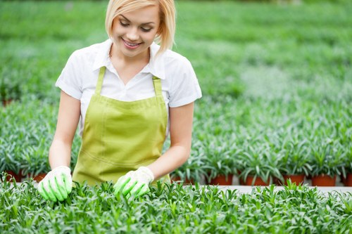 A young woman with blonde hair, wearing a white shirt, a light green apron, and gardening gloves, is working in a well-maintained garden nursery or plant nursery in Palmers Green. She is tending to rows of small, healthy green plants that are closely spaced and appear to be seedlings or young shrubs, organized in long, narrow planting beds. Behind her, there are additional rows of plants and greenery, suggesting a spacious outdoor area dedicated to horticultural cultivation. The garden environment is lush, with vibrant green foliage and a natural, outdoor setting under natural daylight, indicating good weather conditions. The scene reflects professional gardening and landscaping activity in a typical UK garden setting, aligned with services such as planting, garden maintenance, and outdoor landscaping offered by companies like Landscapers Palmers Green.