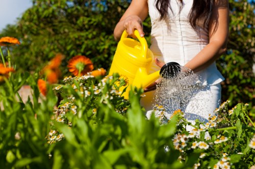 The image shows a woman watering a lush garden bed with a yellow watering can, surrounded by vibrant orange and white flowers and green foliage. The garden layout includes a foreground filled with blooming plants and flower borders, leading to a background of mature trees and shrubs, all under bright natural sunlight, suggesting a warm, sunny day. The soil appears healthy and well-maintained, with a mix of blooming daisies and other flowering plants creating a colourful, natural interest. The scene reflects careful outdoor gardening and landscape maintenance typical of a well-kept front or back garden in the Palmer's Green area. The presence of flowering plants and the garden's overall organization highlight professional gardening expertise, aligning with services offered by landscaping and outdoor maintenance specialists like Landscapers Palmers Green.