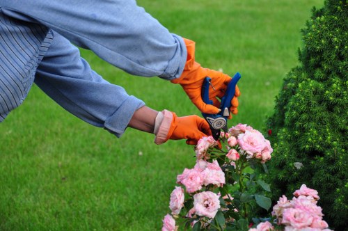 Expert tree remover preparing for tree removal in Palmers Green