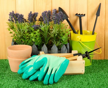 The image shows a neatly organized garden workspace with a wooden surface on a lush green artificial grass surface. Behind the workspace, there are several purple-flowering lavender plants arranged in black plastic pots, creating a vibrant contrast with the natural wood backdrop and the green foliage. To the left, three unglazed terracotta plant pots are stacked, ready for planting or repotting activities. In front of the pots, a pair of light turquoise gardening gloves rest on a wooden box containing a small black garden rake and a trowel, indicating active gardening use. The right side of the image features a yellow plastic bucket filled with various gardening tools such as a hand fork, a trowel, and a small garden knife, all standing upright with their handles visible. The background consists of vertical wooden panels, suggesting a backyard or garden shed setting, with lighting indicating a bright outdoor environment suitable for gardening tasks. This scene, captured in a professional gardening setting, reflects the organized preparation typical of landscaping and garden maintenance services in Palmers Green, providing a clear visual connection to expert outdoor care and flower bed creation.