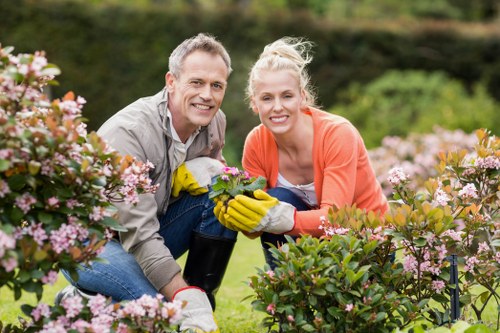 Various hedge trimming tools for professional use