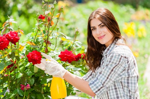 Professional landscapers working on a garden project